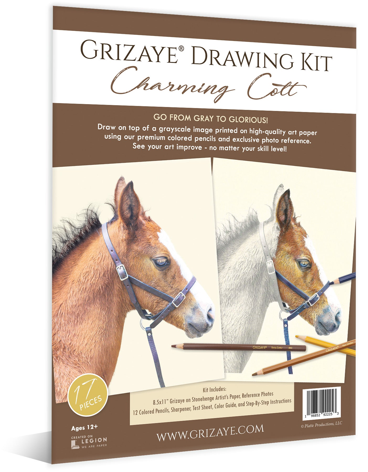 Drawing Kit: Charming Colt