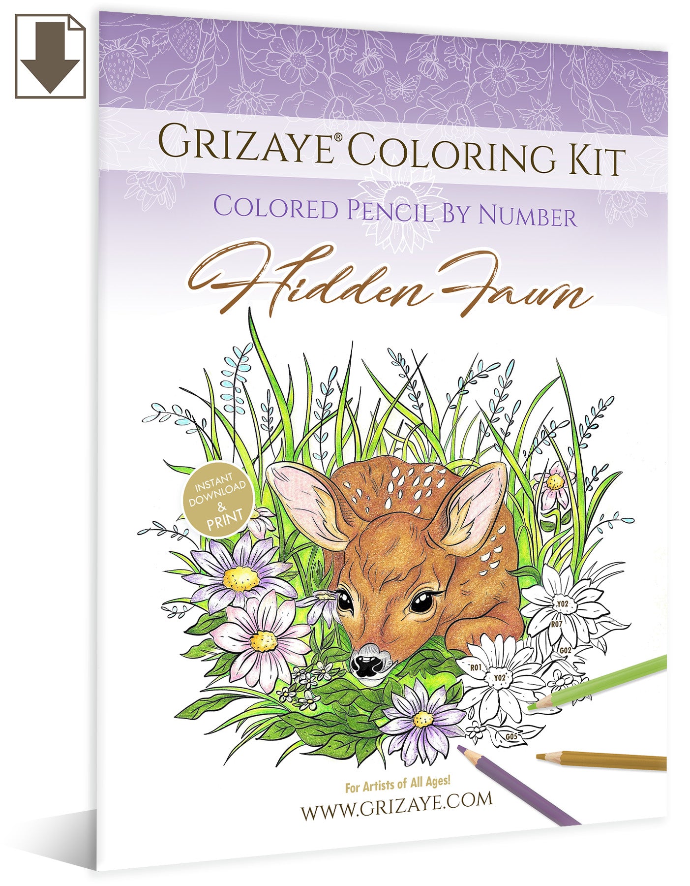 Coloring Kit: Hidden Fawn (PDF)