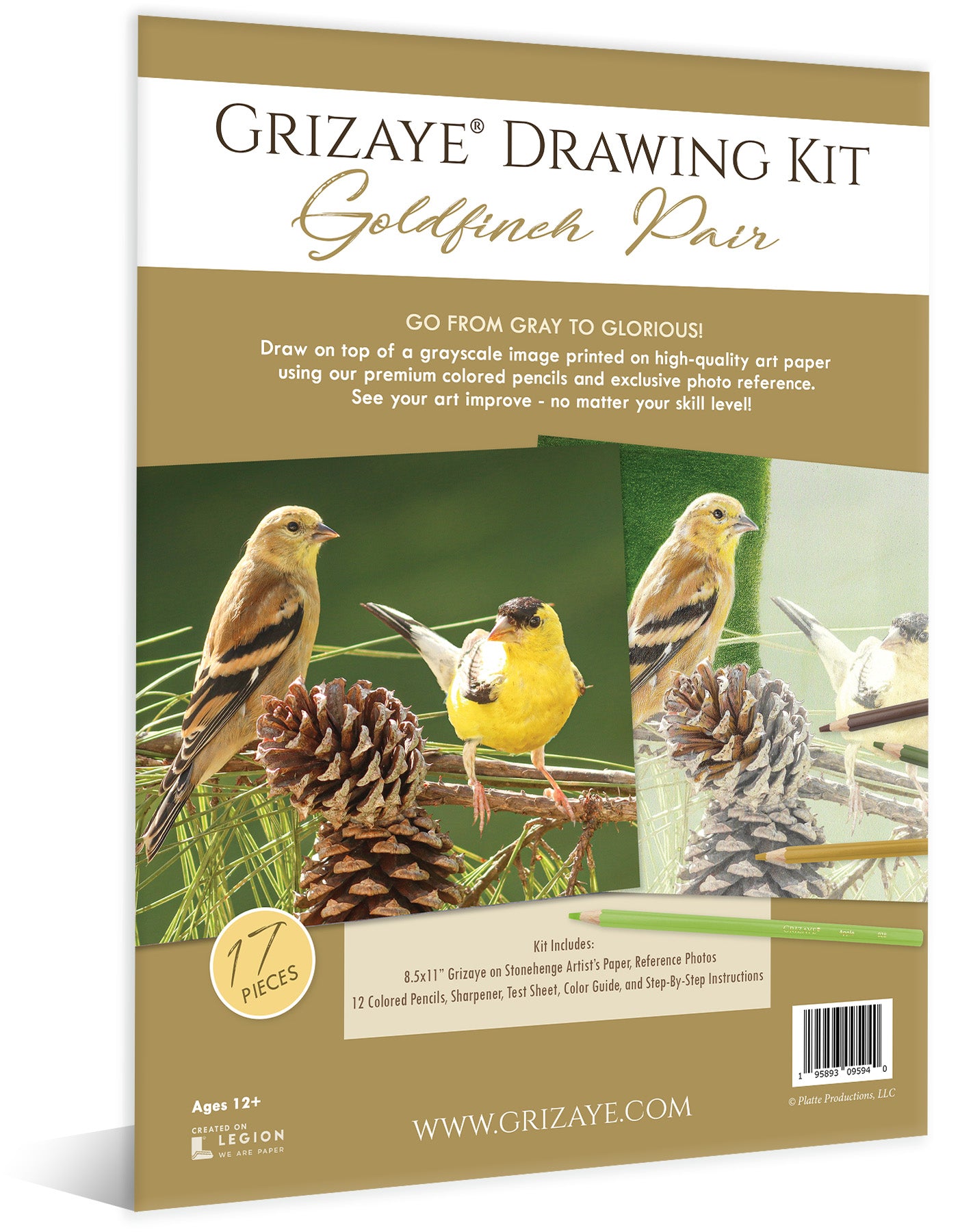 Drawing Kit: Goldfinch Pair