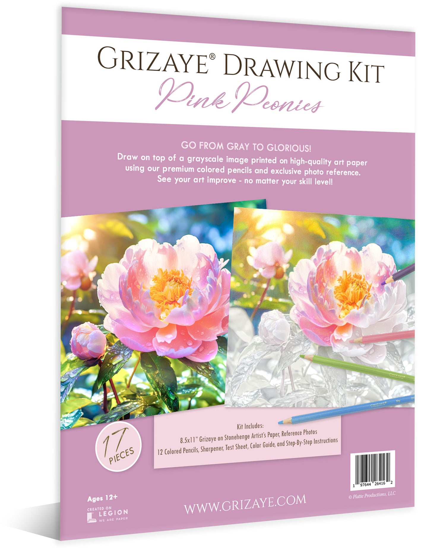 Drawing Kit: Pink Peonies