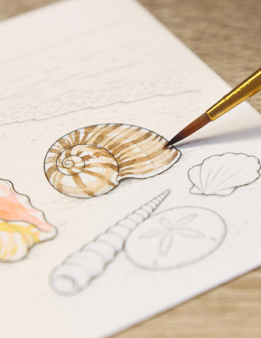 LIMITED EDITION Watercolor Card: Summer Shells