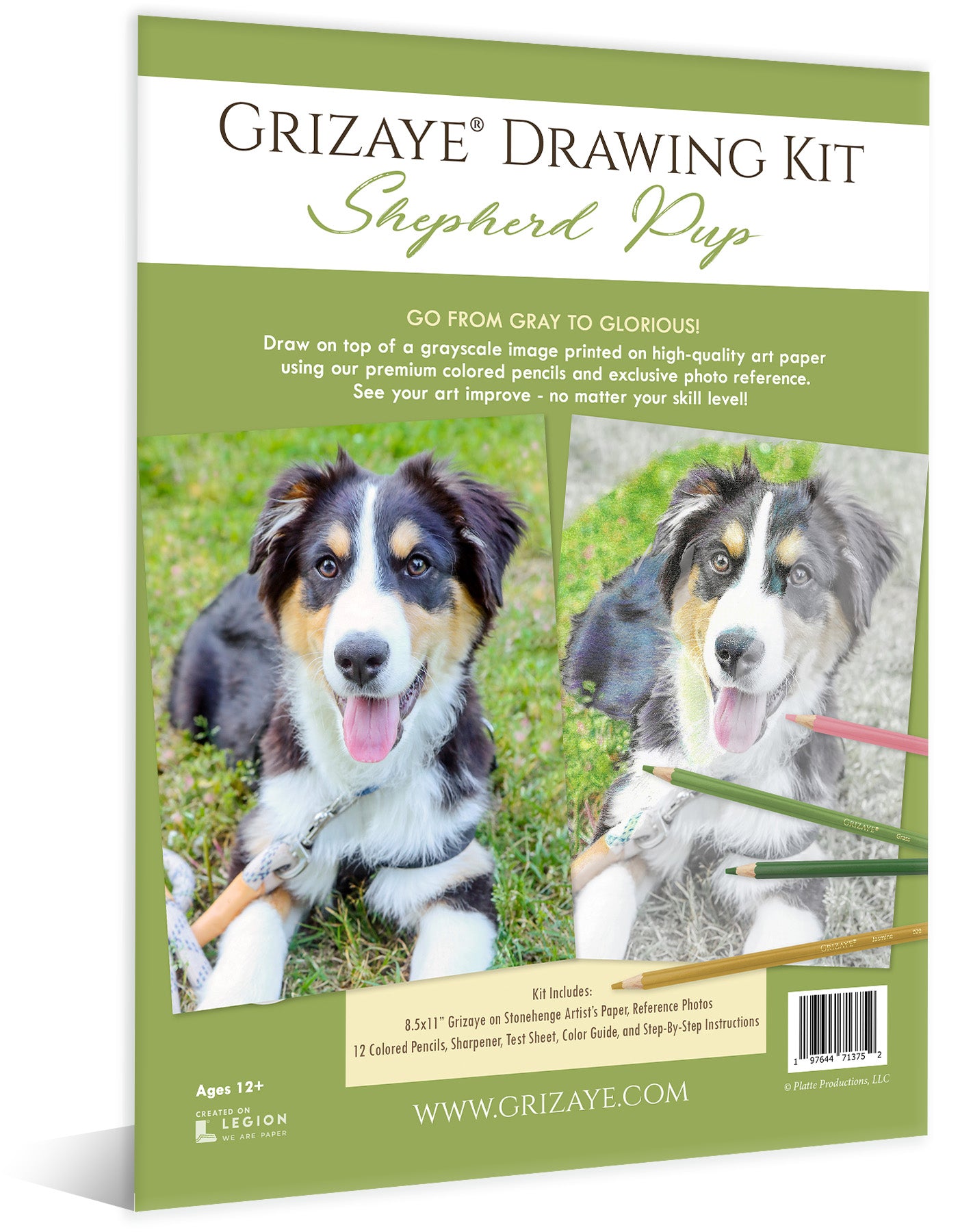 Drawing Kit: Shepherd Pup
