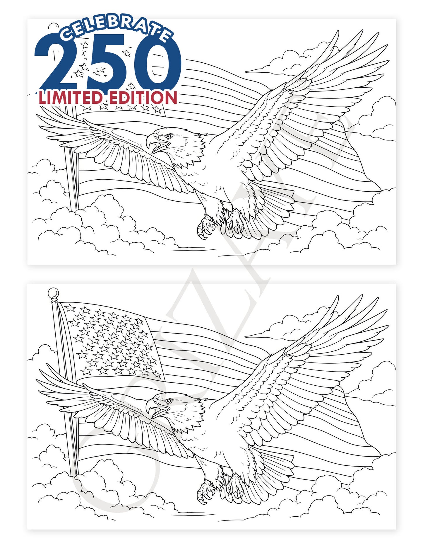 LIMITED EDITION Watercolor Cards: 250 Eagle