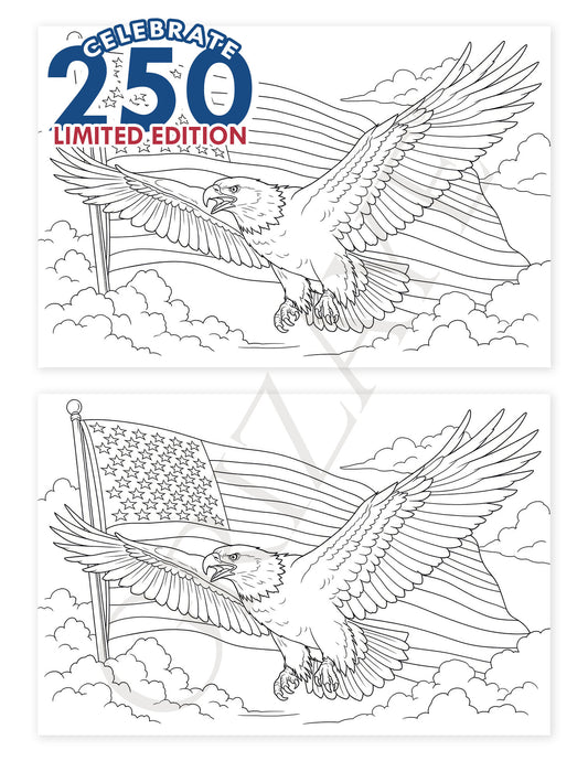 LIMITED EDITION Watercolor Cards: 250 Eagle