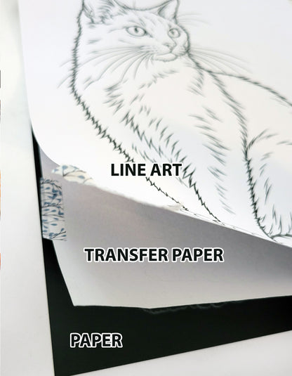 Shadow Cat Drawing Bundle