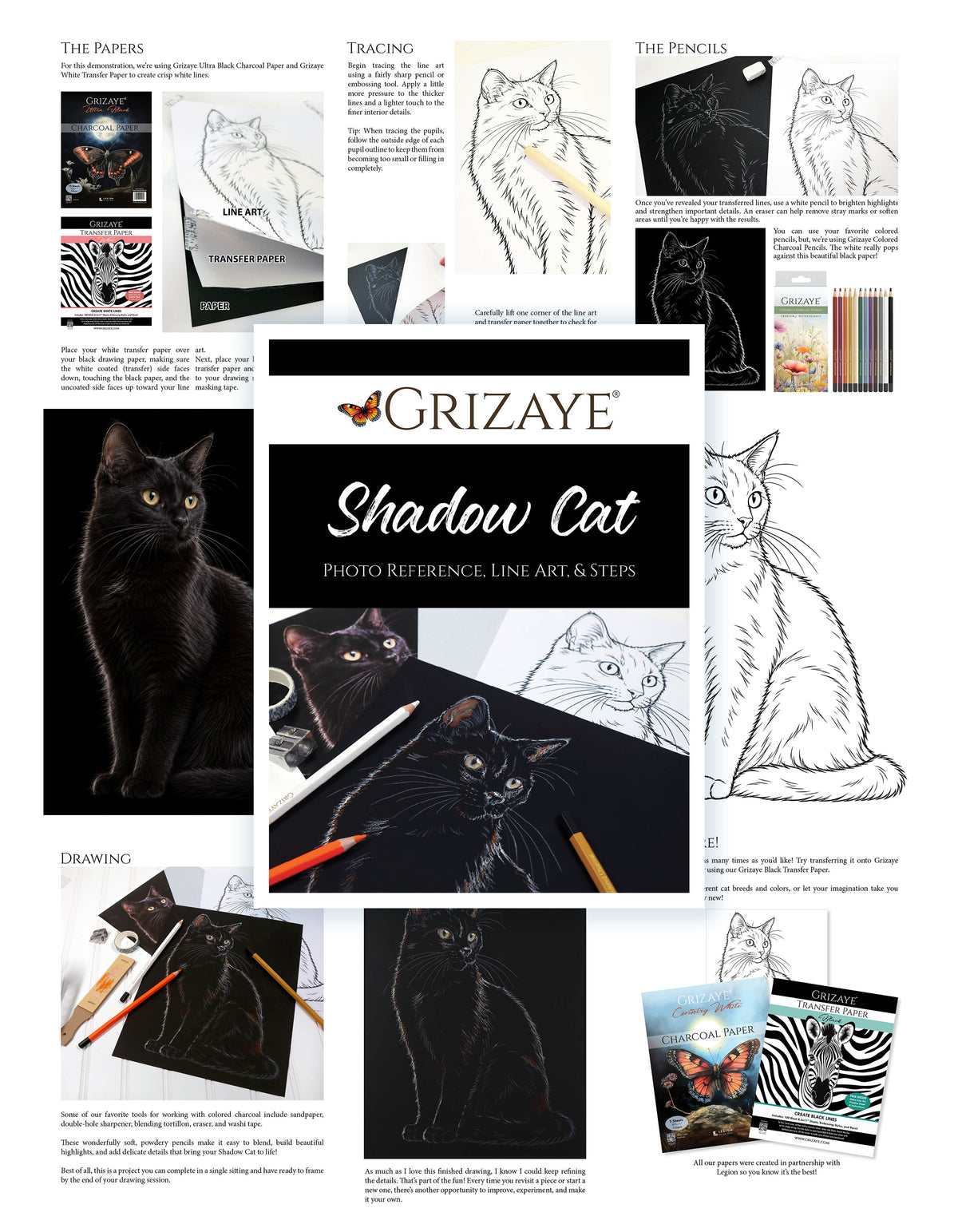 Shadow Cat Drawing Bundle