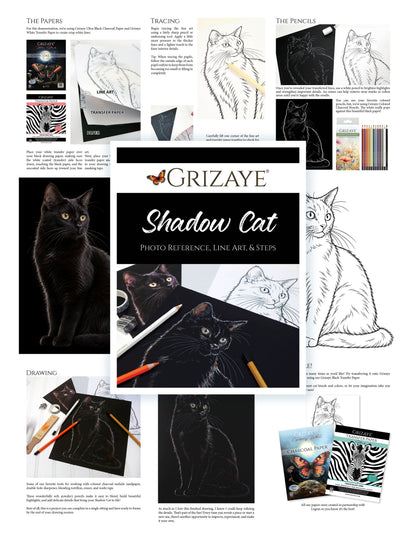 Shadow Cat Drawing Bundle