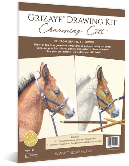 Drawing Kit: Charming Colt