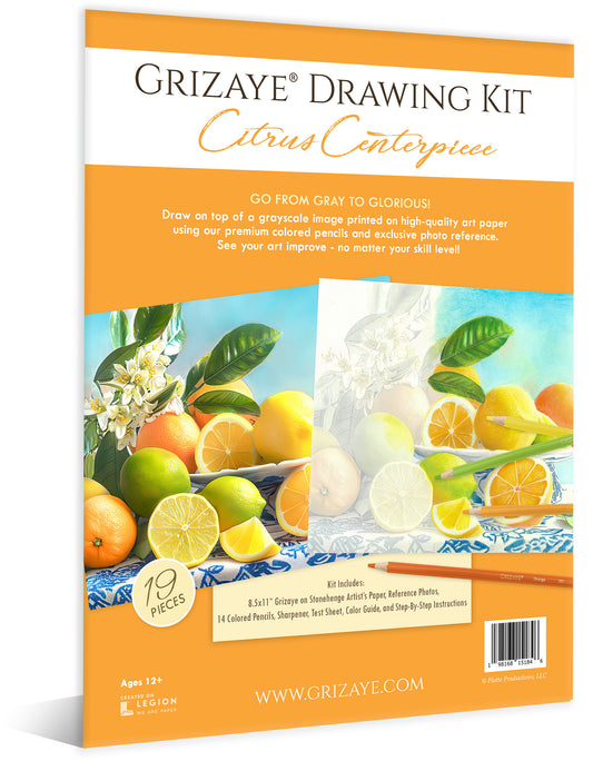 Drawing Kit: Citrus Centerpiece