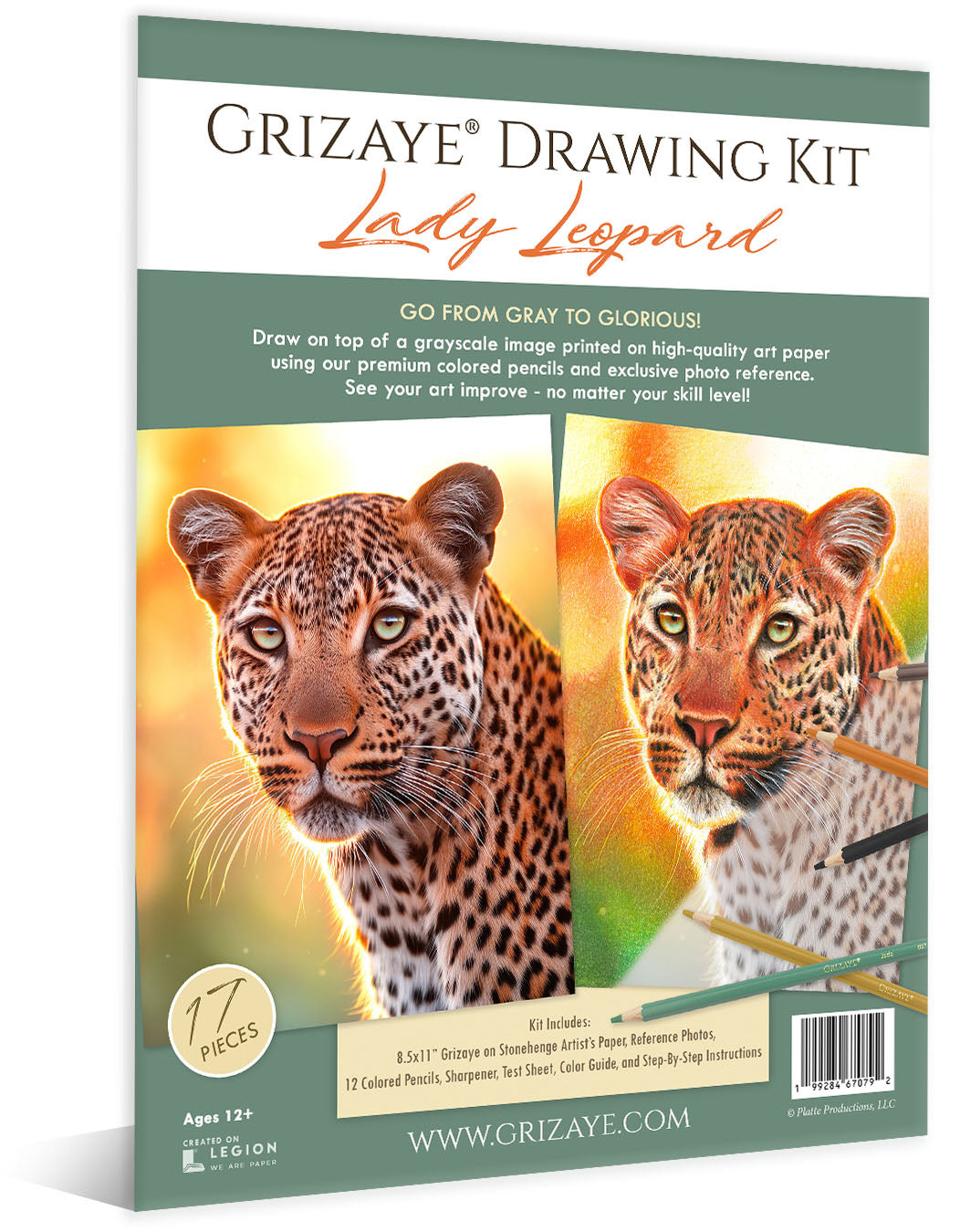 Drawing Kit: Lady Leopard