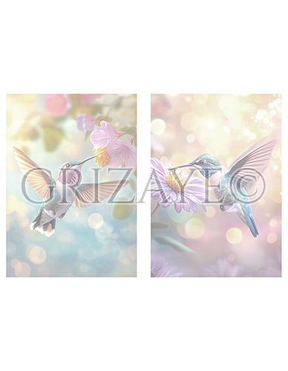 Drawing Kit: Hummingbirds
