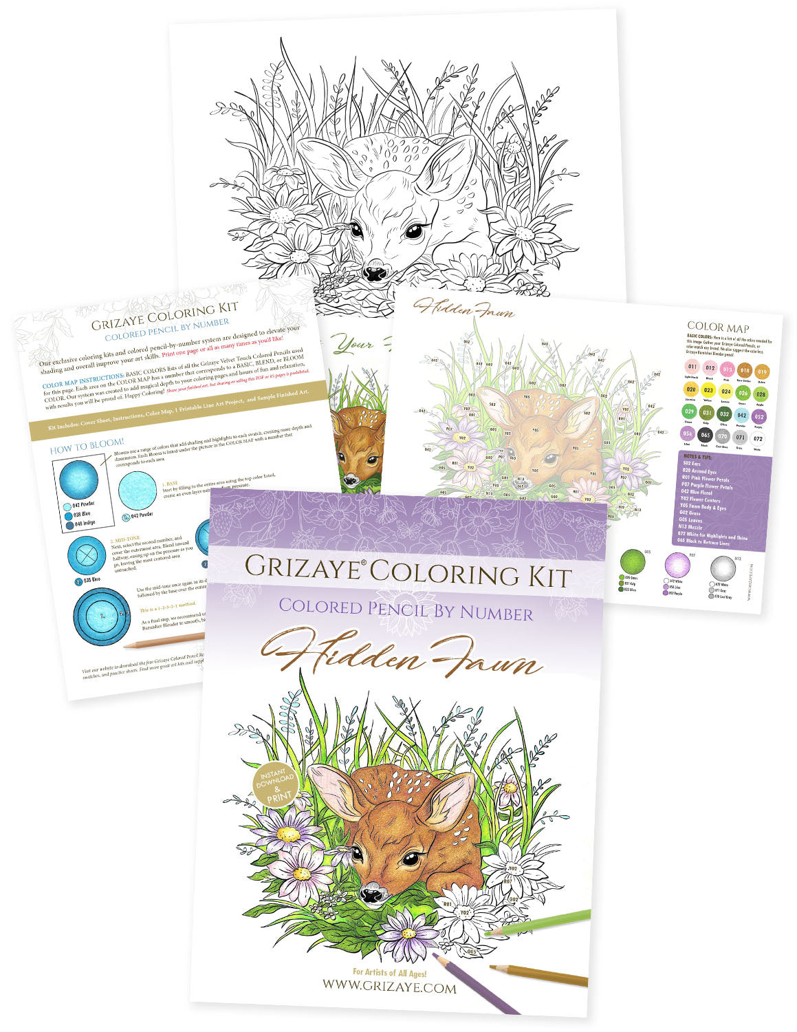 Coloring Kit: Hidden Fawn (PDF)