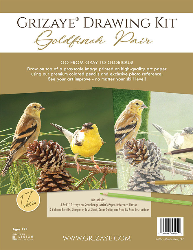 Drawing Kit: Goldfinch Pair