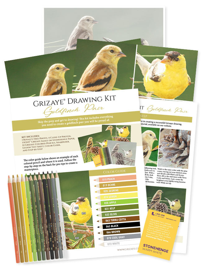 Drawing Kit: Goldfinch Pair