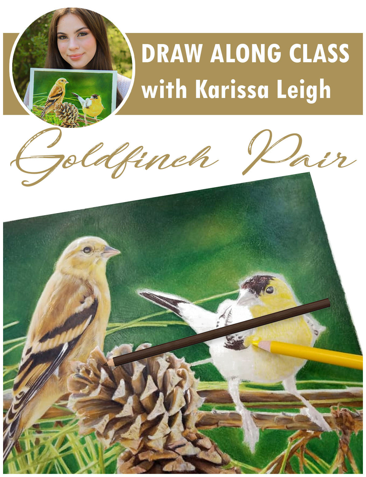 Draw Along Class: Goldfinch Pair