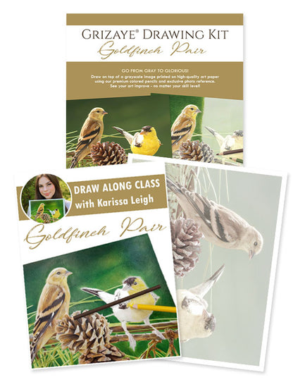 Drawing Kit: Goldfinch Pair