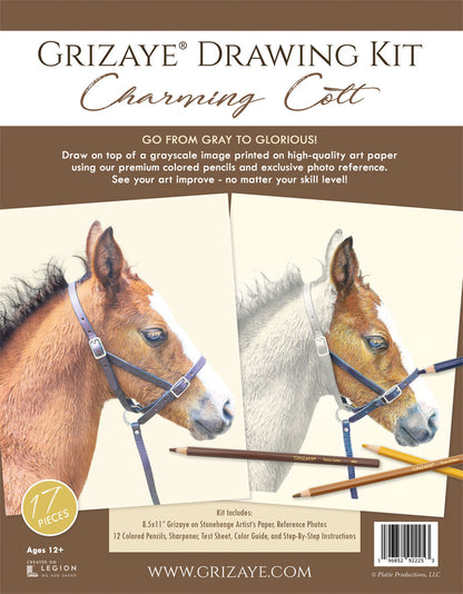 Drawing Kit: Charming Colt