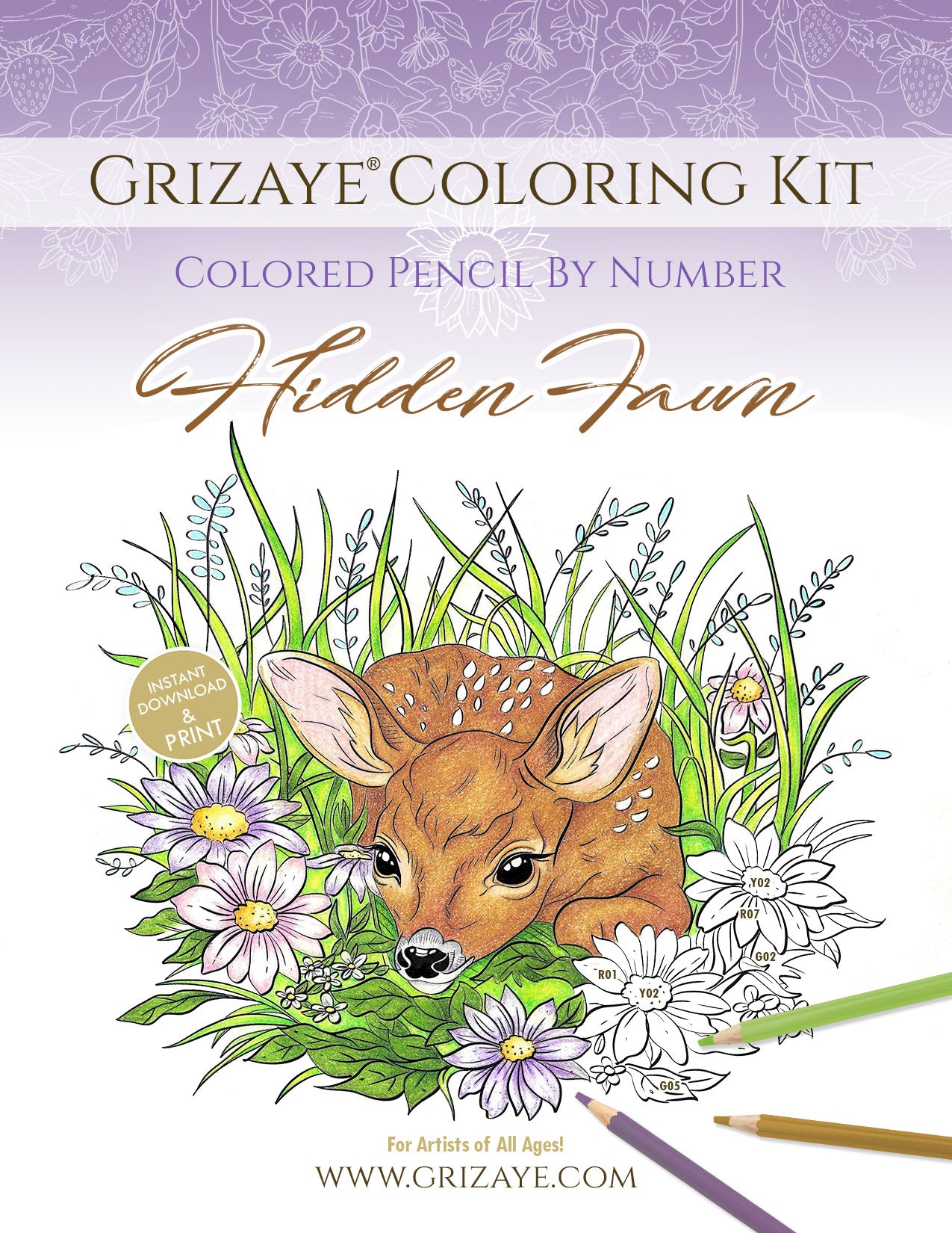 Coloring Kit: Hidden Fawn (PDF)