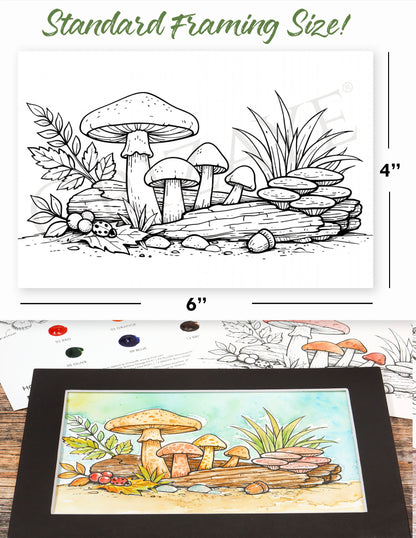 Mini Watercolor Kit: Woodland Mushrooms
