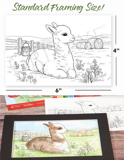 Mini Watercolor Kit: Baby Llama