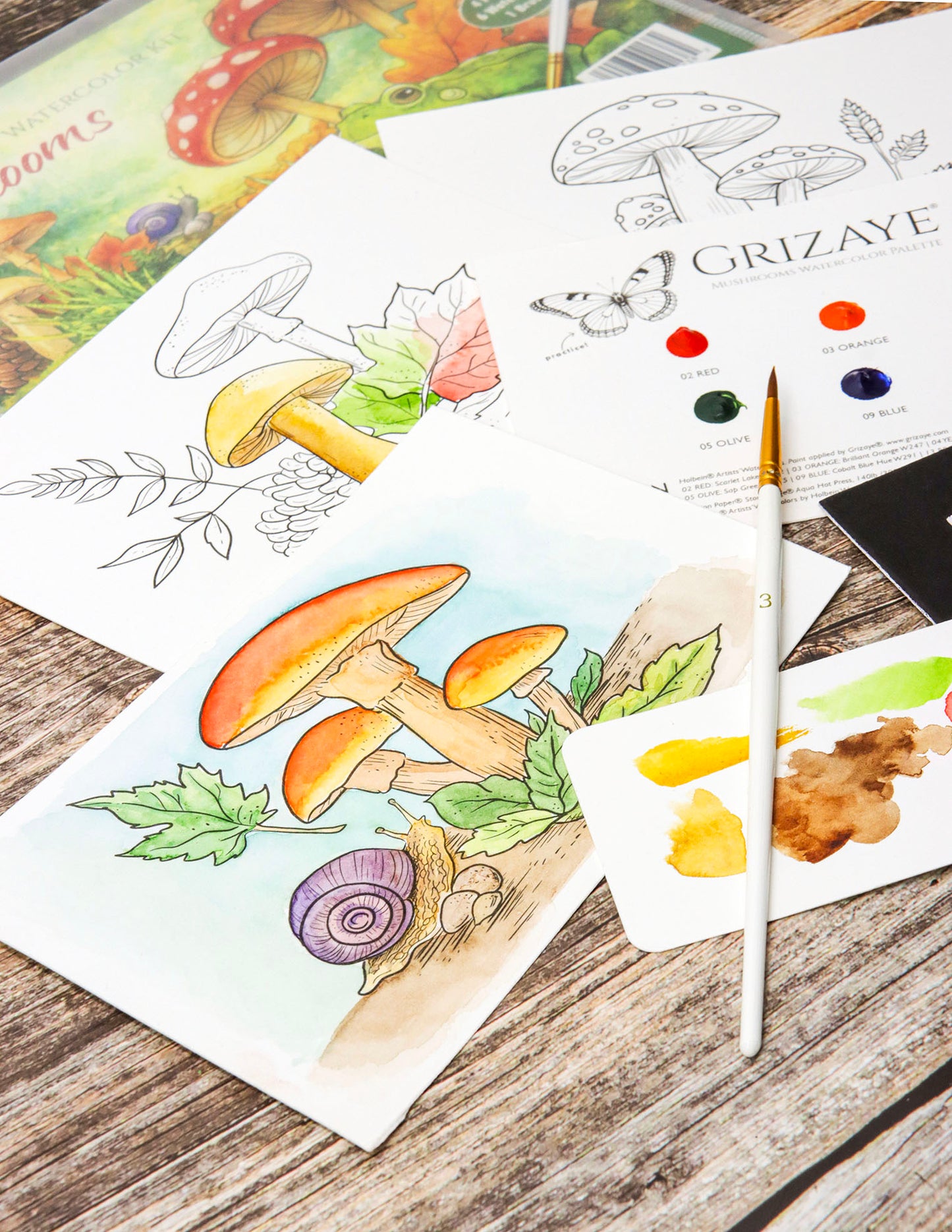 Watercolor Kit: Mushrooms