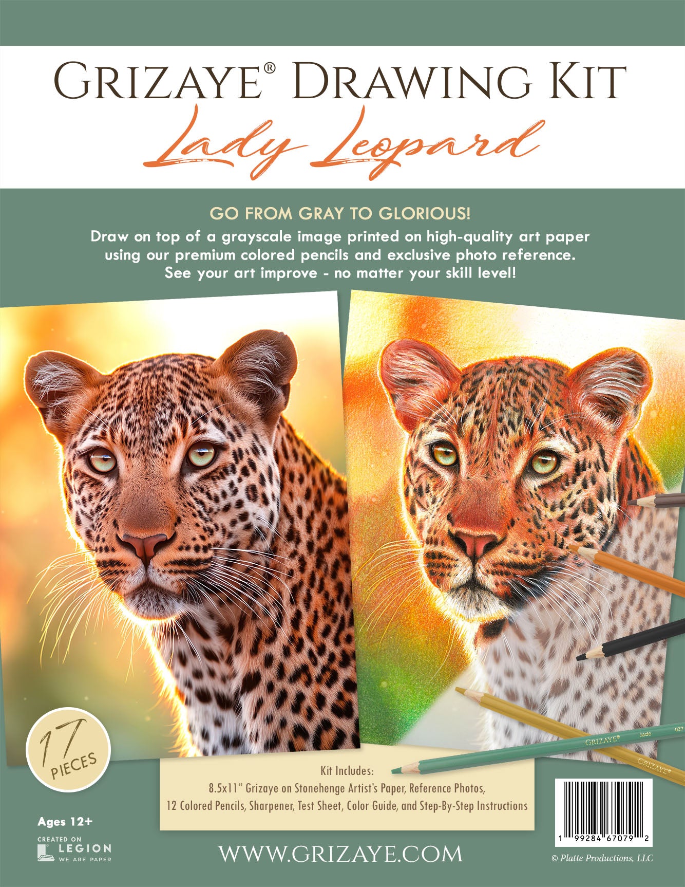 Drawing Kit: Lady Leopard