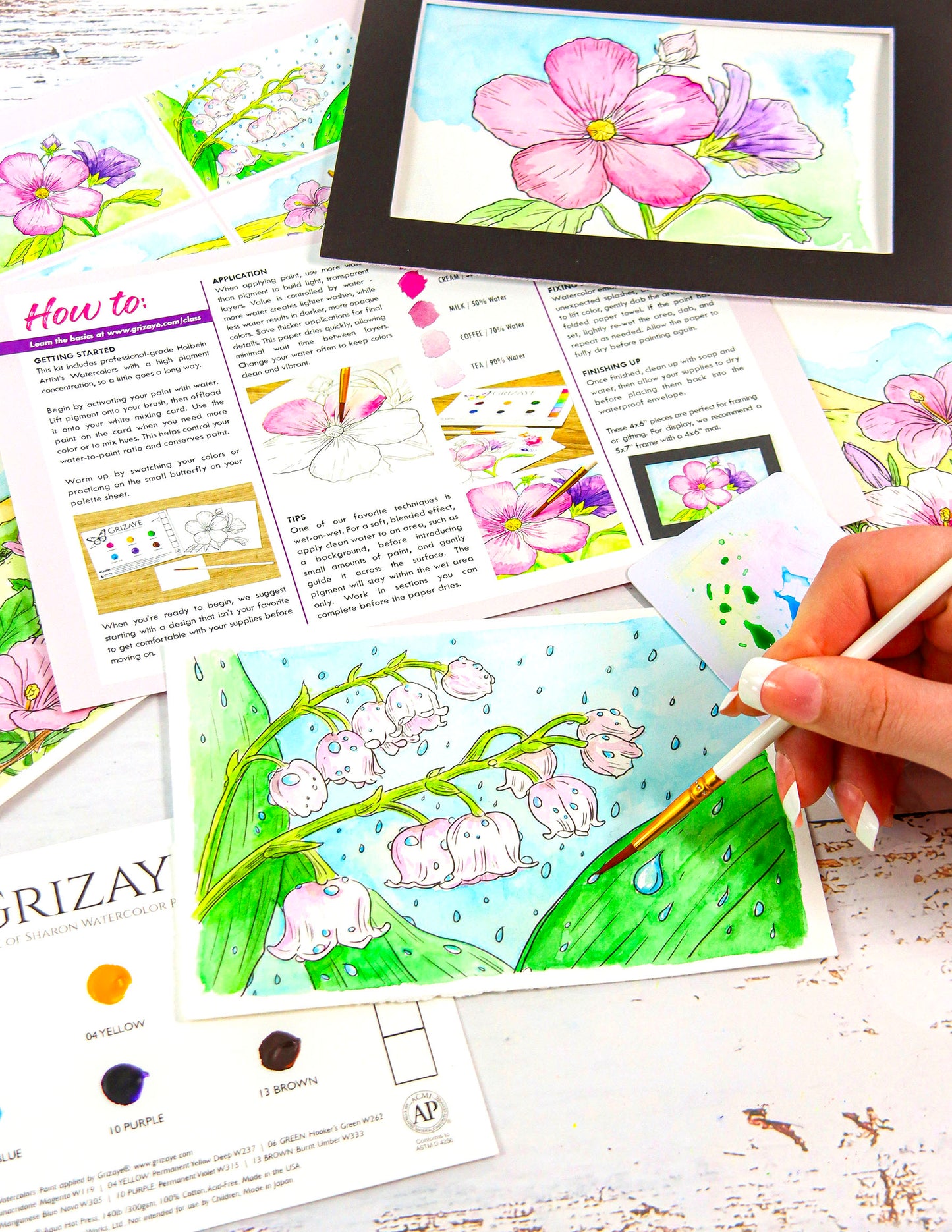 Rose of Sharon Watercolor Kit