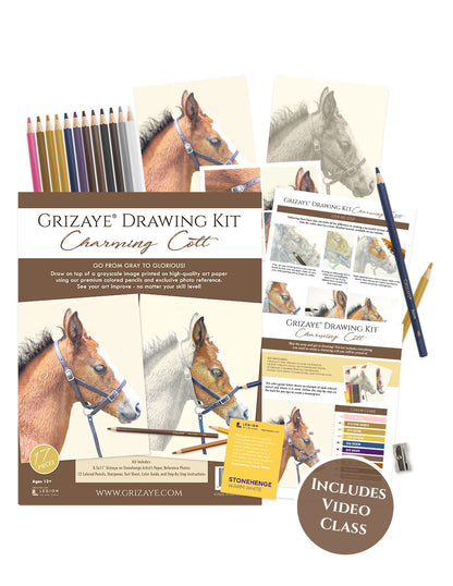 Drawing Kit: Charming Colt