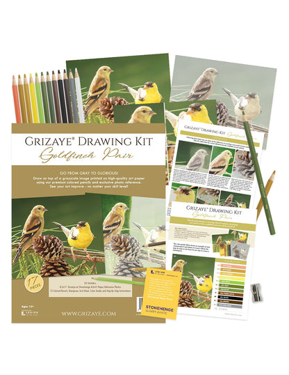Drawing Kit: Goldfinch Pair