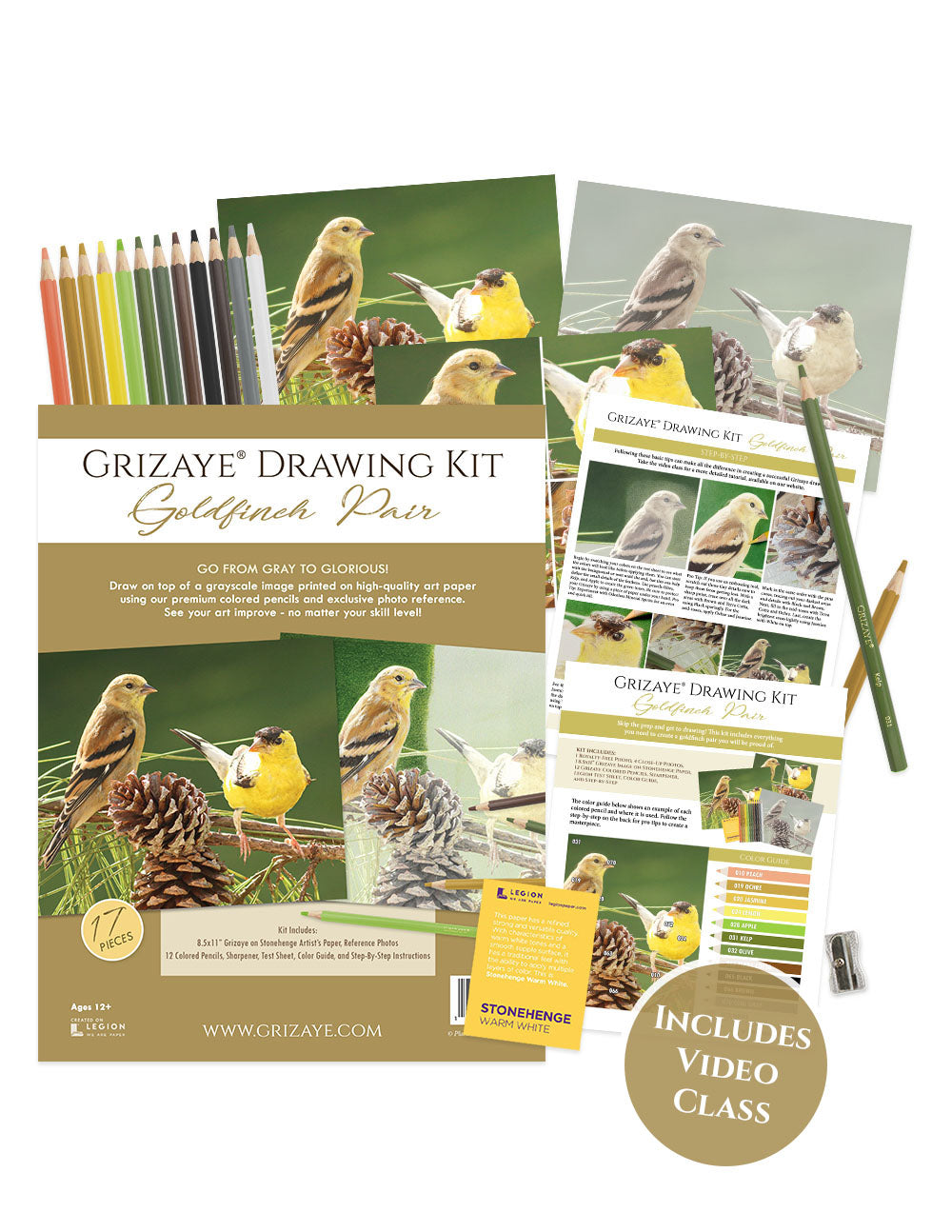 Drawing Kit: Goldfinch Pair