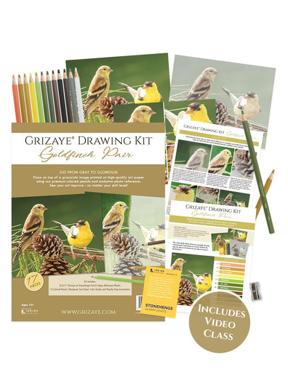 Drawing Kit: Goldfinch Pair
