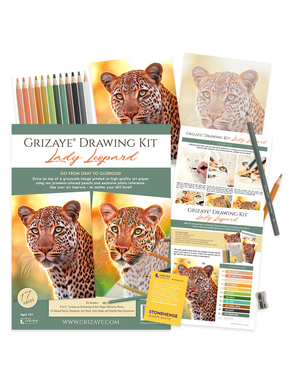 Drawing Kit: Lady Leopard