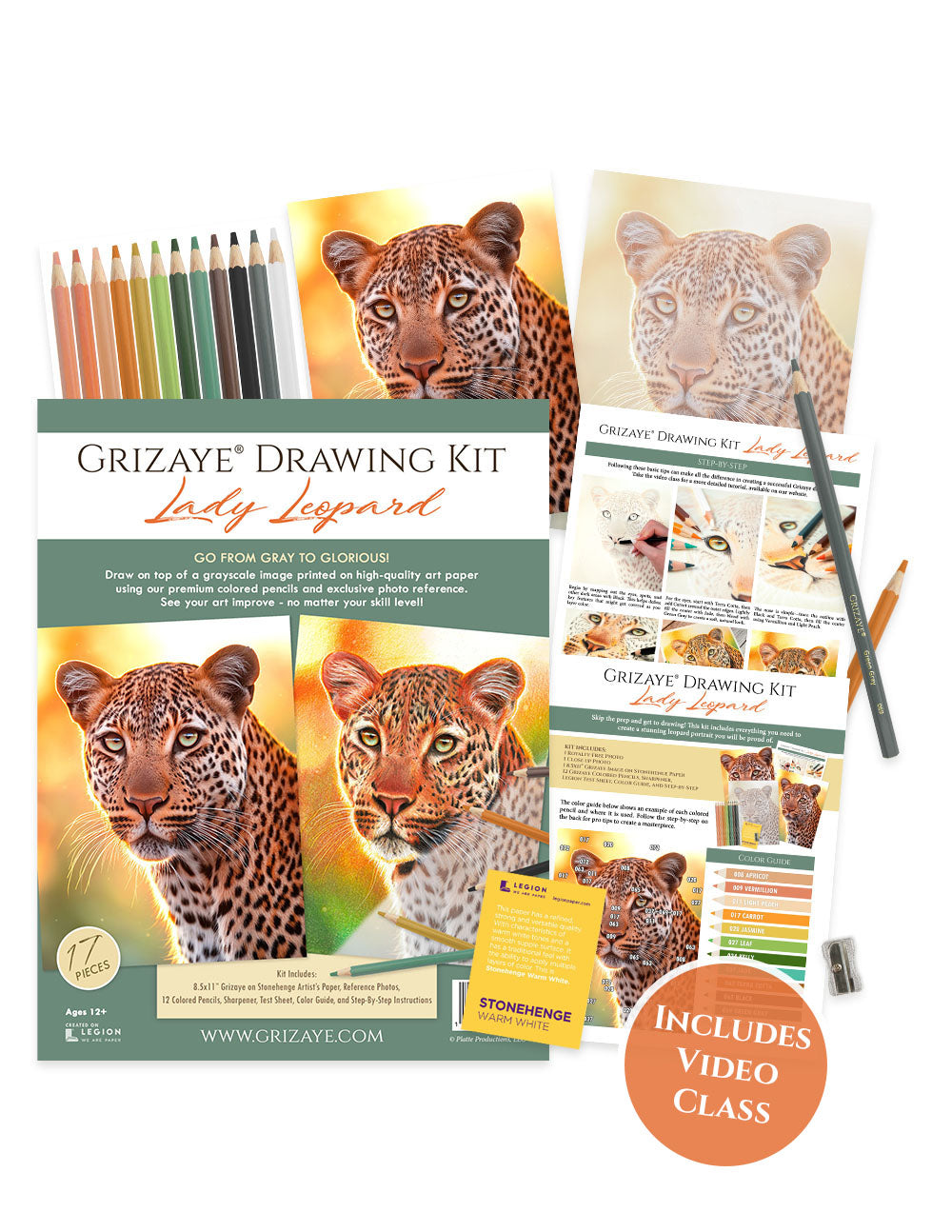 Drawing Kit: Lady Leopard