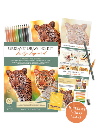 Drawing Kit: Lady Leopard
