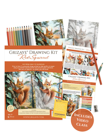 Drawing Kit: Red Squirrel