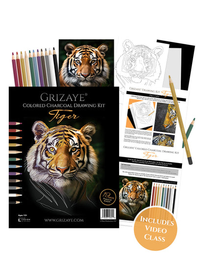 Colored Charcoal Drawing Kit: Tiger