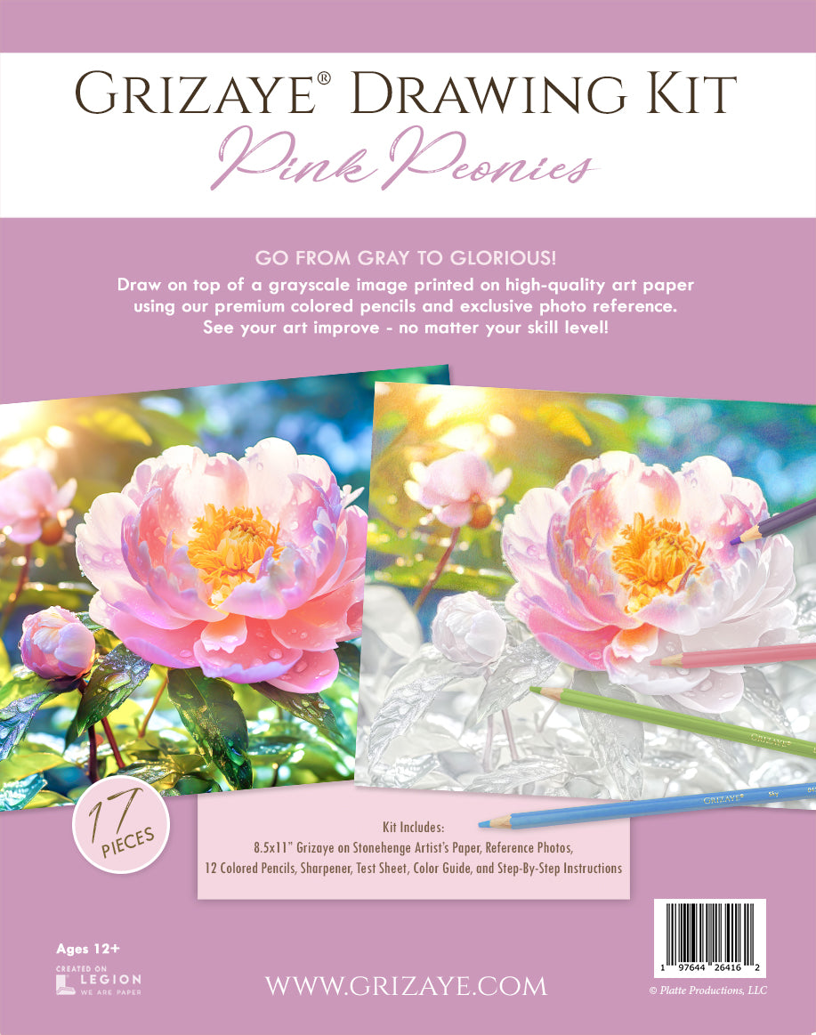 Drawing Kit: Pink Peonies