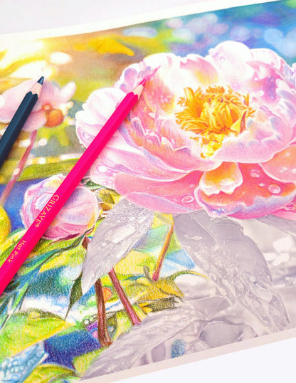 Drawing Kit: Pink Peonies