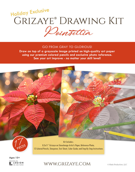 Drawing Kit: Poinsettia