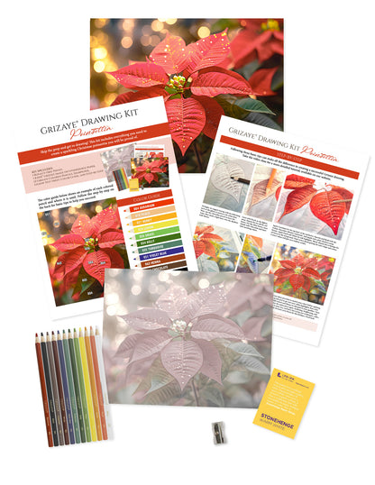 Drawing Kit: Poinsettia