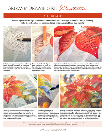 Drawing Kit: Poinsettia