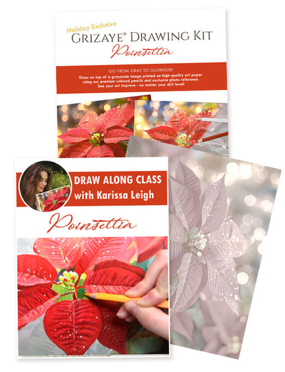 Drawing Kit: Poinsettia