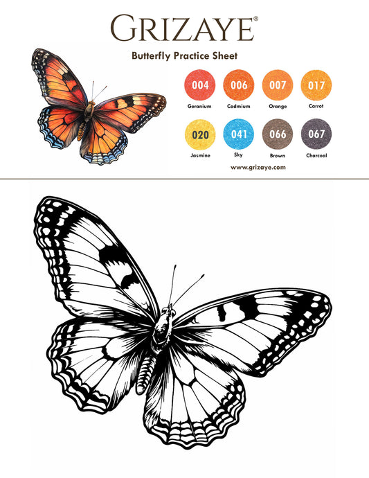 NEW Butterfly Practice Sheet