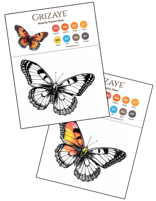 NEW Butterfly Practice Sheet
