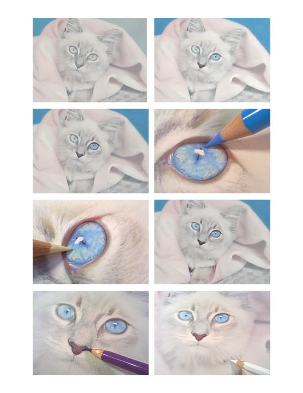 Drawing Kit: Pretty Kitty