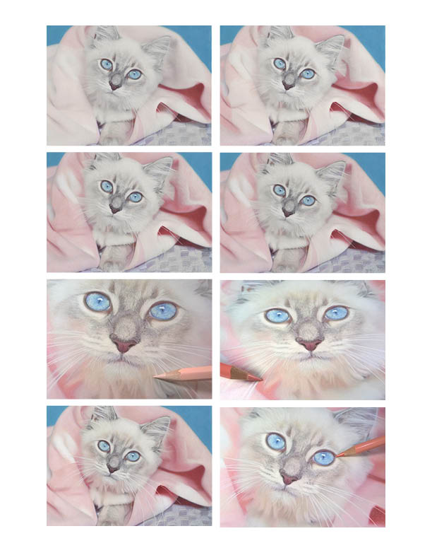 Drawing Kit: Pretty Kitty