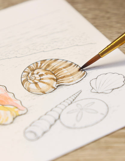 LIMITED EDITON Watercolor Card: Summer Shells