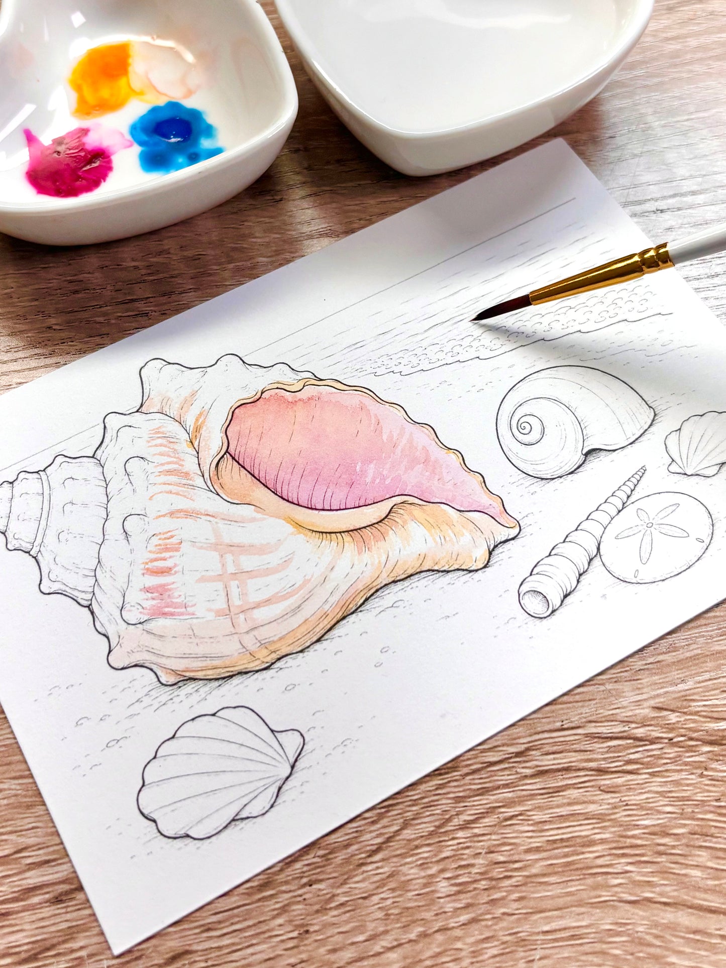 LIMITED EDITON Watercolor Card: Summer Shells