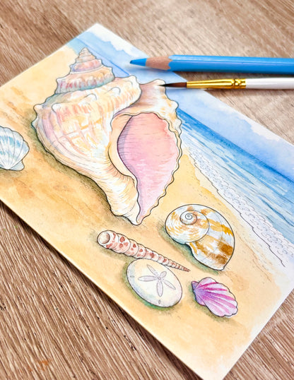 LIMITED EDITON Watercolor Card: Summer Shells