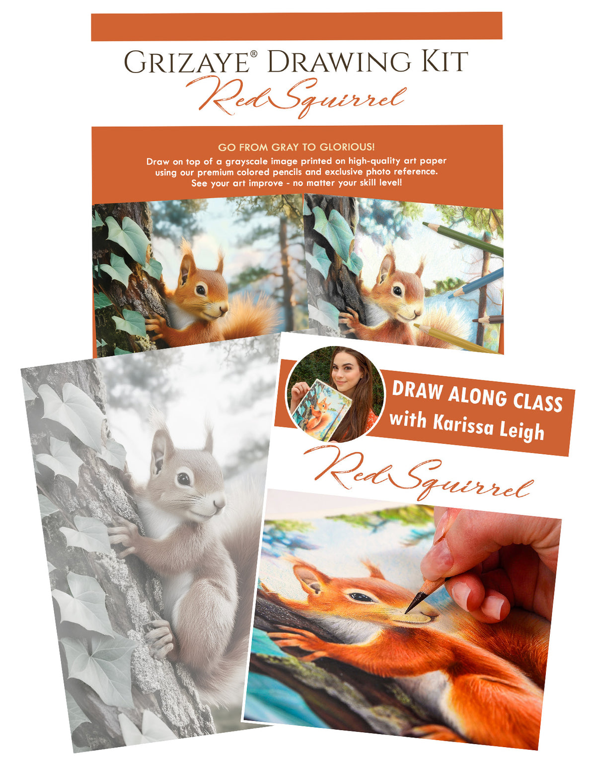 Drawing Kit: Red Squirrel – Grizaye Art